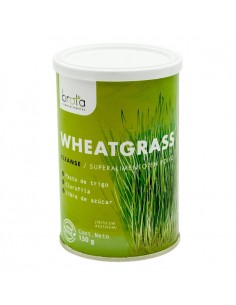Wheatgrass (Pasto de trigo)...